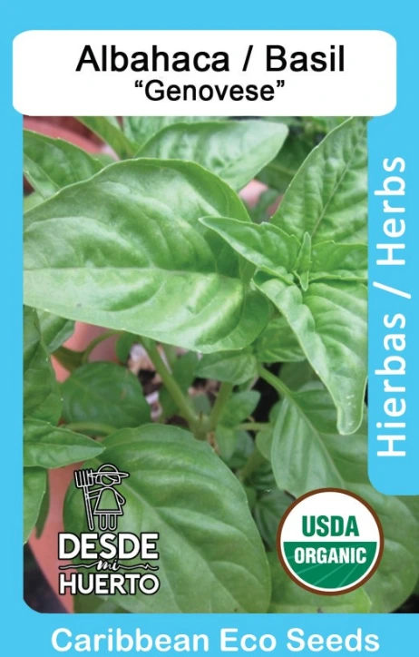 Albahaca \ Basil "Genovese" (Paquete (60 semillas aprox))