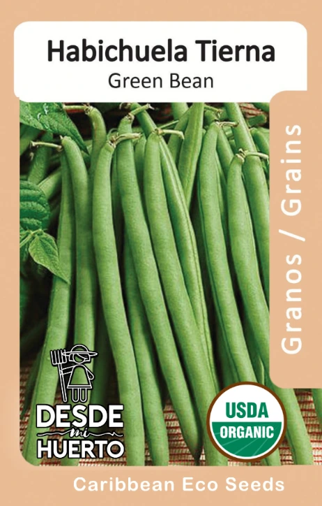 Habichuela "Tierna" \ Green Bean "Provider"
