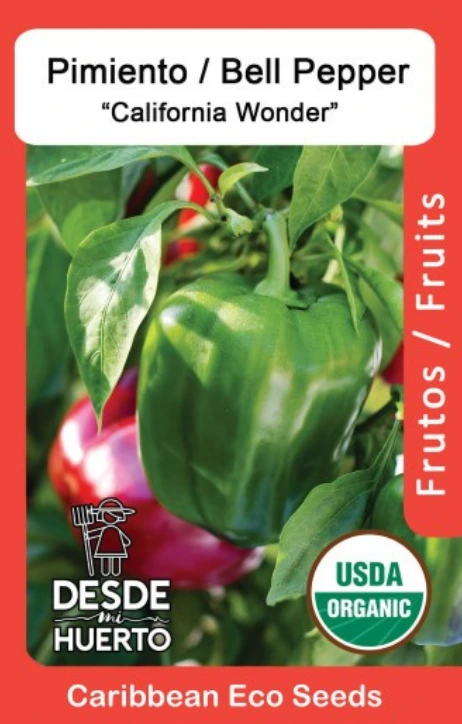 Pimiento Morron / Bell Pepper "California Wonder"